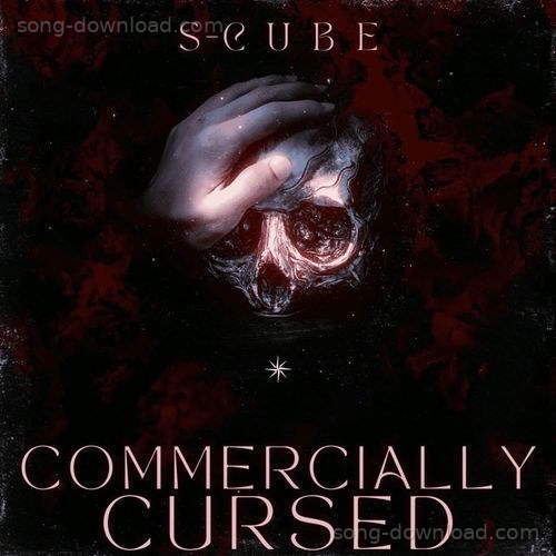 Parwah S-Cube MP3 Download